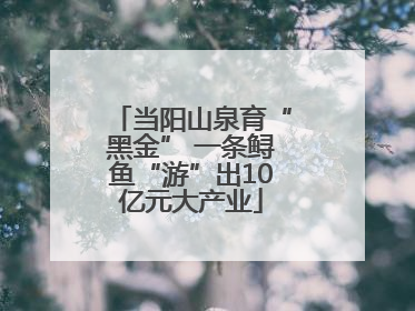 当阳山泉育“黑金” 一条鲟鱼“游”出10亿元大产业