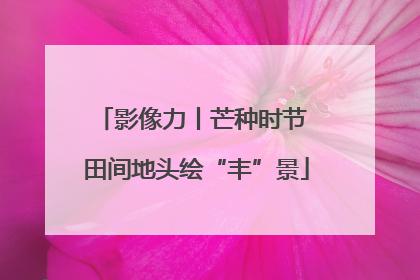 影像力丨芒种时节 田间地头绘“丰”景
