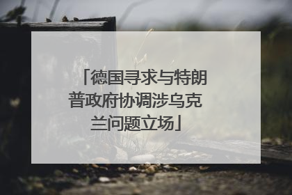 德国寻求与特朗普政府协调涉乌克兰问题立场