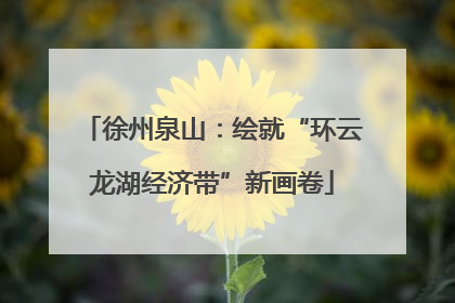 徐州泉山：绘就“环云龙湖经济带”新画卷