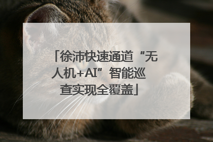 徐沛快速通道“无人机+AI”智能巡查实现全覆盖