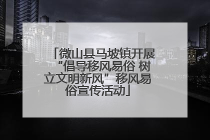 微山县马坡镇开展“倡导移风易俗 树立文明新风”移风易俗宣传活动