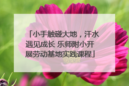 小手触碰大地，汗水遇见成长 乐师附小开展劳动基地实践课程