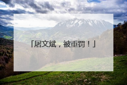 屠文斌，被重罚！