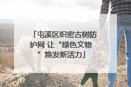 屯溪区织密古树防护网 让“绿色文物”焕发新活力