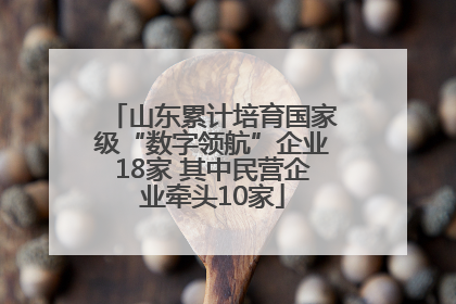 山东累计培育国家级“数字领航”企业18家 其中民营企业牵头10家