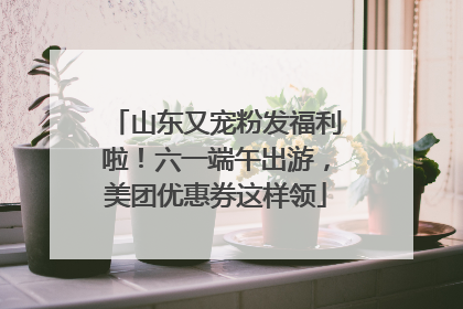 山东又宠粉发福利啦!六一端午出游,美团优惠券这样领