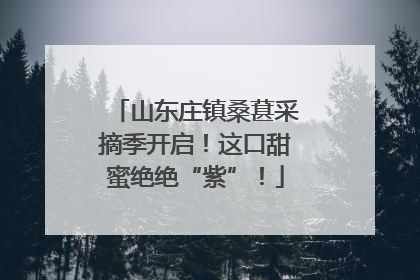 山东庄镇桑葚采摘季开启！这口甜蜜绝绝“紫”！