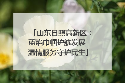 山东日照高新区：蓝焰巾帼护航发展 温情服务守护民生