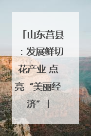 山东莒县：发展鲜切花产业 点亮“美丽经济”