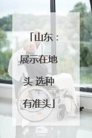 山东：展示在地头 选种有准头