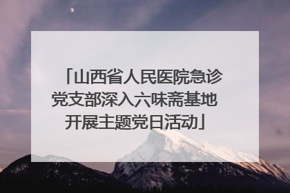 山西省人民医院急诊党支部深入六味斋基地开展主题党日活动