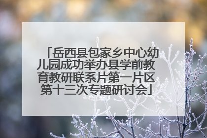 岳西县包家乡中心幼儿园成功举办县学前教育教研联系片第一片区第十三次专题研讨会
