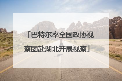 巴特尔率全国政协视察团赴湖北开展视察