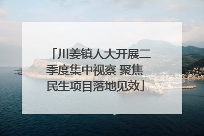 川姜镇人大开展二季度集中视察 聚焦民生项目落地见效