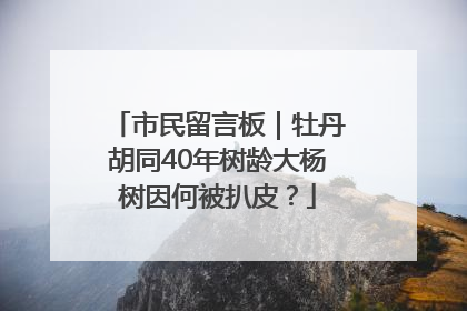市民留言板｜牡丹胡同40年树龄大杨树因何被扒皮？