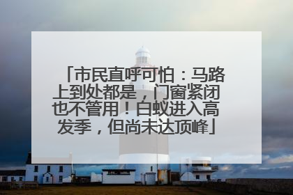 市民直呼可怕：马路上到处都是，门窗紧闭也不管用！白蚁进入高发季，但尚未达顶峰