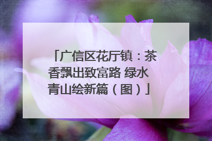 广信区花厅镇：茶香飘出致富路 绿水青山绘新篇（图）