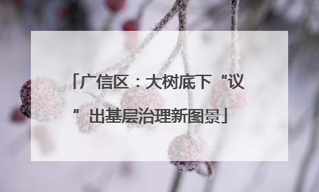 广信区：大树底下“议”出基层治理新图景