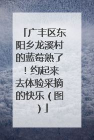 广丰区东阳乡龙溪村的蓝莓熟了！约起来 去体验采摘的快乐（图）