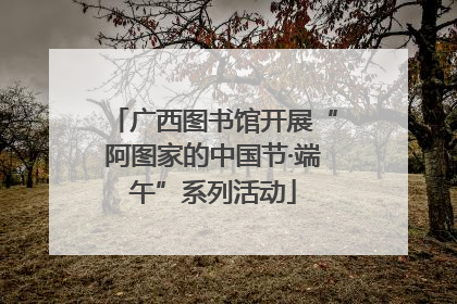 广西图书馆开展“阿图家的中国节·端午”系列活动