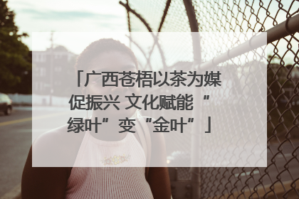 广西苍梧以茶为媒促振兴 文化赋能“绿叶”变“金叶”