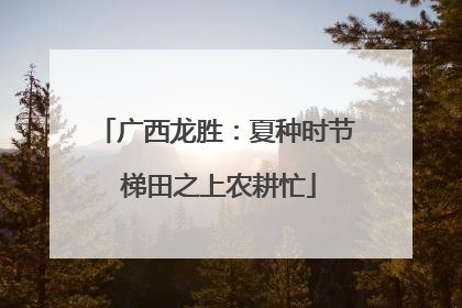 广西龙胜：夏种时节 梯田之上农耕忙