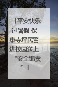 平安快乐过暑假 保康寺坪民警进校园送上“安全锦囊”