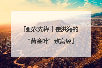 强农先锋丨崔洪海的“黄金叶”致富经
