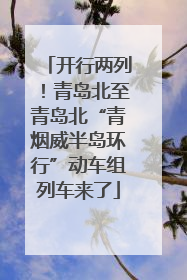 开行两列！青岛北至青岛北“青烟威半岛环行”动车组列车来了