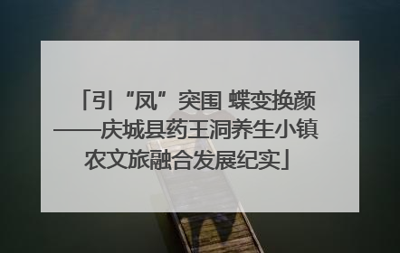引“凤”突围 蝶变换颜——庆城县药王洞养生小镇农文旅融合发展纪实