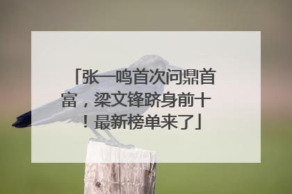 张一鸣首次问鼎首富，梁文锋跻身前十！最新榜单来了