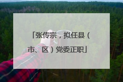 张传宗，拟任县（市、区）党委正职