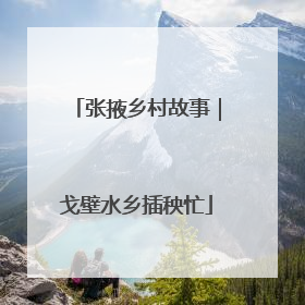 张掖乡村故事｜戈壁水乡插秧忙