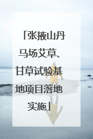 张掖山丹马场艾草、甘草试验基地项目落地实施