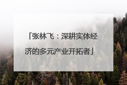张林飞：深耕实体经济的多元产业开拓者