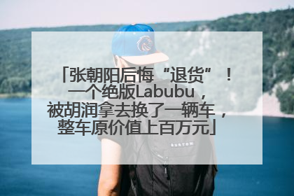 张朝阳后悔“退货”！一个绝版Labubu，被胡润拿去换了一辆车，整车原价值上百万元