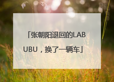 张朝阳退回的LABUBU，换了一辆车