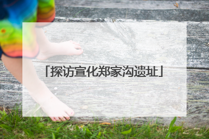 探访宣化郑家沟遗址