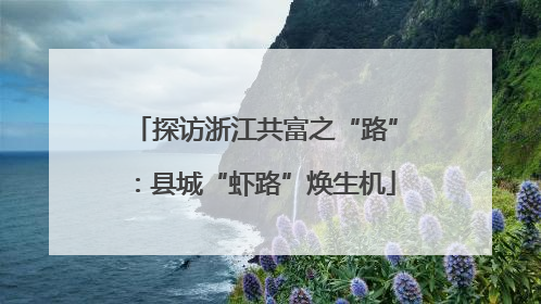 探访浙江共富之“路”：县城“虾路”焕生机