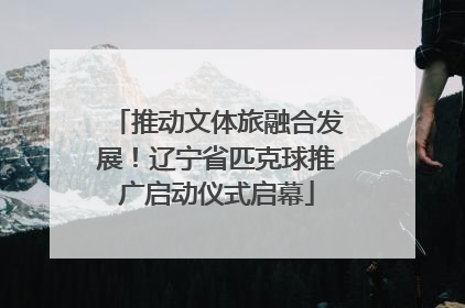 推动文体旅融合发展！辽宁省匹克球推广启动仪式启幕