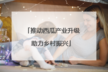 推动西瓜产业升级 助力乡村振兴