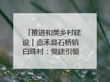 推进和美乡村建设｜嘉禾县石桥镇白珠村：党建引领破“空”局 乡贤聚力绘就新图景