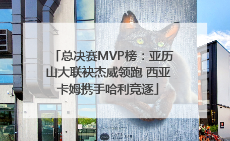 总决赛MVP榜：亚历山大联袂杰威领跑 西亚卡姆携手哈利竞逐