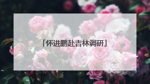 怀进鹏赴吉林调研