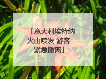 意大利埃特纳火山喷发 游客紧急撤离