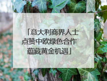 意大利商界人士点赞中欧绿色合作蕴藏黄金机遇
