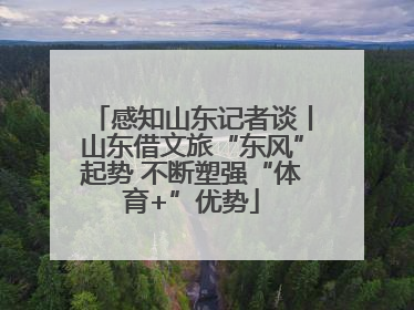 感知山东记者谈丨山东借文旅“东风”起势 不断塑强“体育+”优势