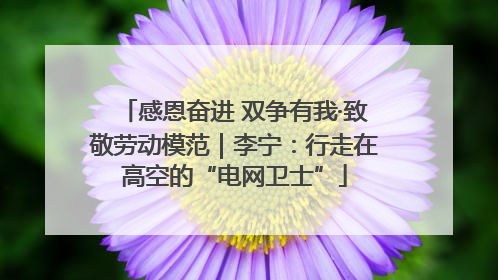感恩奋进 双争有我·致敬劳动模范｜李宁：行走在高空的“电网卫士”