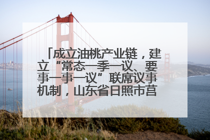 成立油桃产业链，建立“常态一季一议、要事一事一议”联席议事机制，山东省日照市莒县果庄镇——13个党小组“全周期”育果